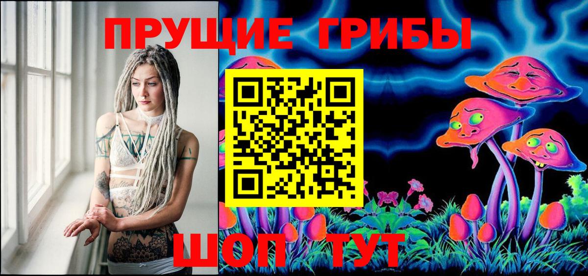 Котлас  Псилоцибиновые грибы MAGIC MUSHROOMS  Вход с VPN 